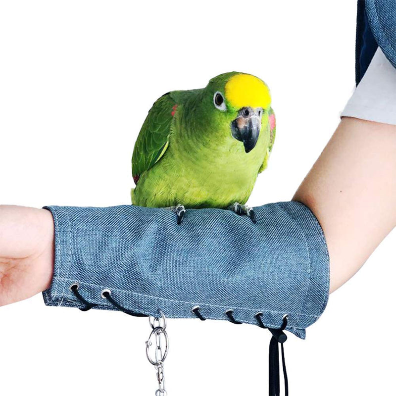 Parrot Anti-Scratch Shoulder Protector Multi-Purpose Bird Shoulder Shawl Bird Diaper for Small Medium Parakeets Cockatiels Sun Conures Macaws Love Birds Finches Lovebird Hang Bird Anklet & Toys Arm Protector-Blue - PawsPlanet Australia