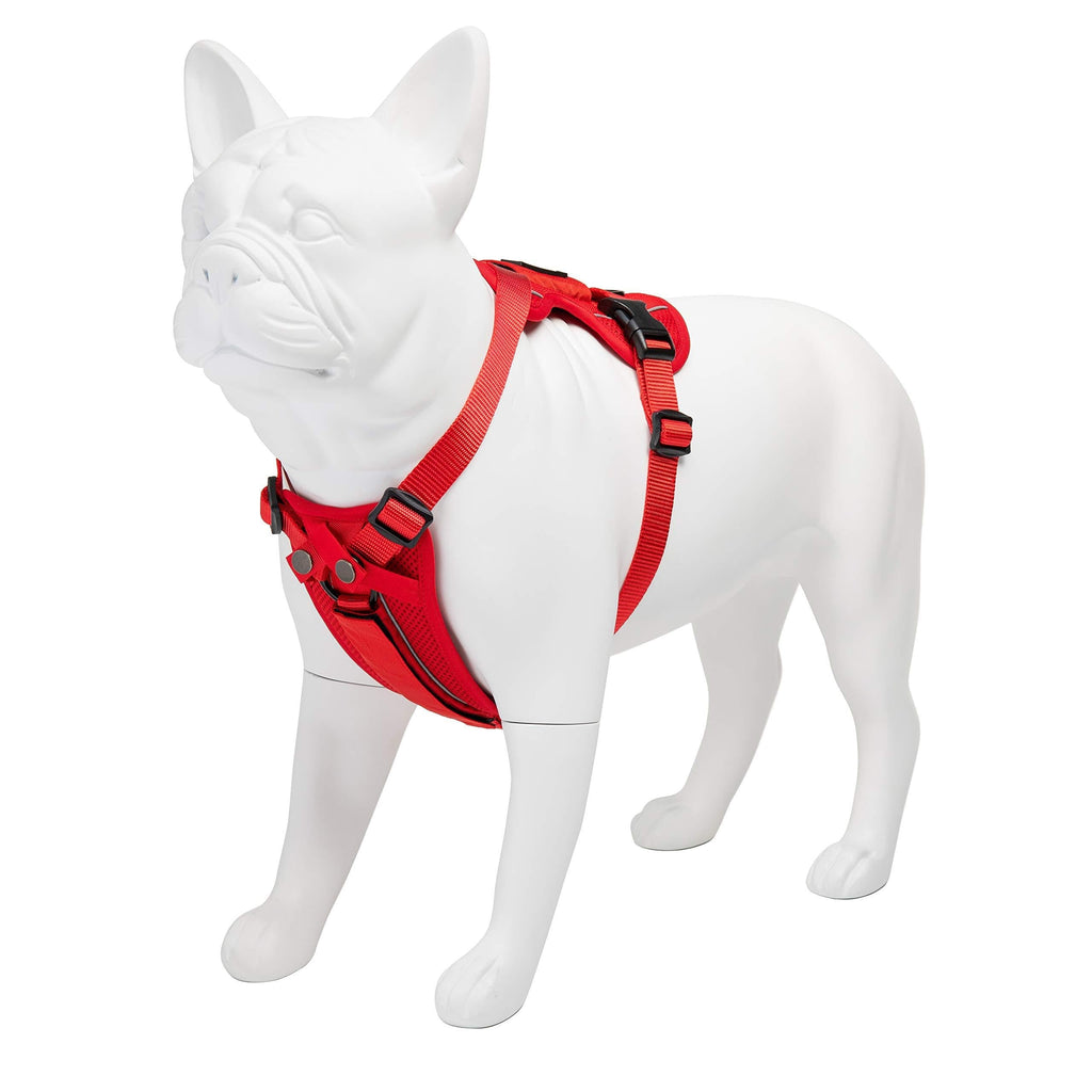 [Australia] - Voyager Freestyle 4-in-1 Dog Harness - Patent Pending Adjustable Webbing Harness with Removable Padding for Small to Large Dogs by Best Pet Supplies (Black, X-Small) Red 