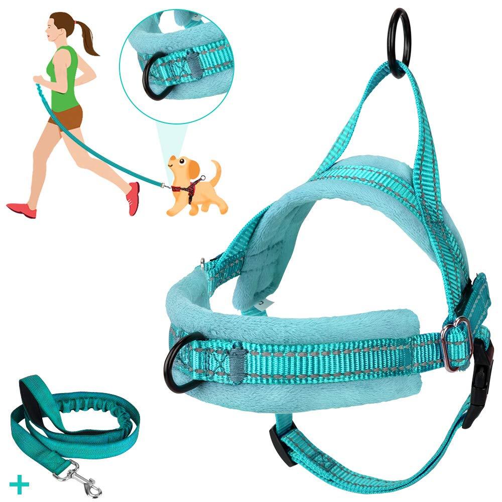 SlowTon No Pull Small Dog Harness and Leash, Front Lead Walk Vest Harness Soft Padded Reflective Adjustable Puppy Harness Anti-Twist 4FT Pet Lead Quick Fit for Small Dog Cat Animal XX-Small Green - PawsPlanet Australia
