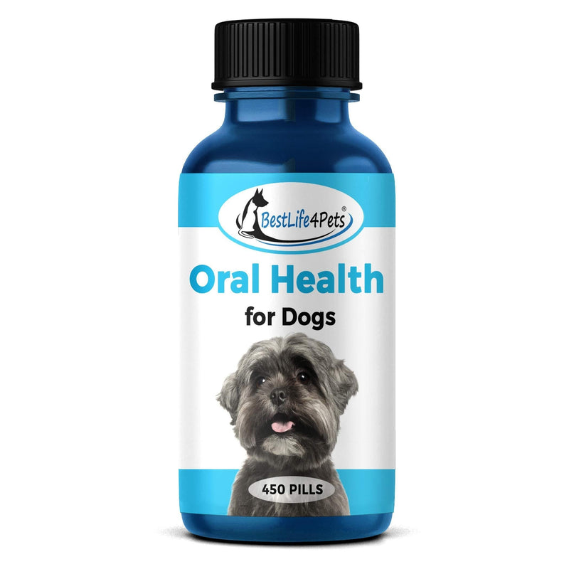 BestLife4Pets Oral Health for Dogs Dental Remedy - Highly Effective Natural Treatment for Inflammatory & Ulcerative Ailments, Stomatitis and Gingivitis. No Smell, No Side Effects - PawsPlanet Australia