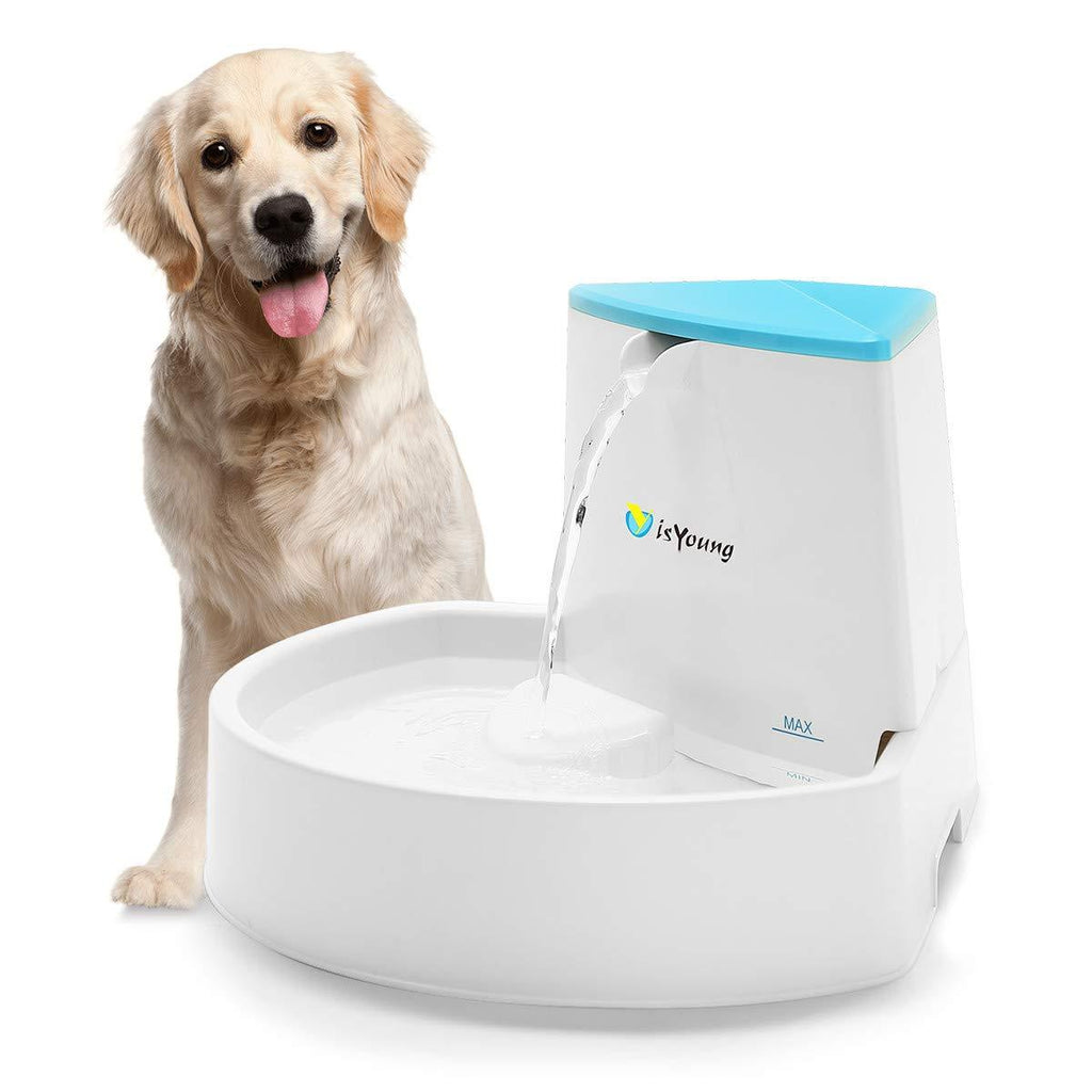 [Australia] - isYoung Pet Fountain, 84oz/2.5L Dog Fountain Automatic Water Dispenser for Dogs & Cats 