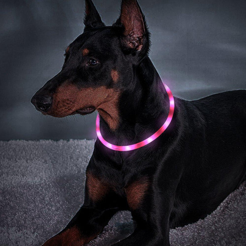 [Australia] - USB Rechargeable LED Dog Collar - Glowing Pet Collar for Dogs, Light Up Doggy Collars Keep Your Dogs Be Seen& Be Safe Adjustable Size Flashing Collars Pink-Silicone 