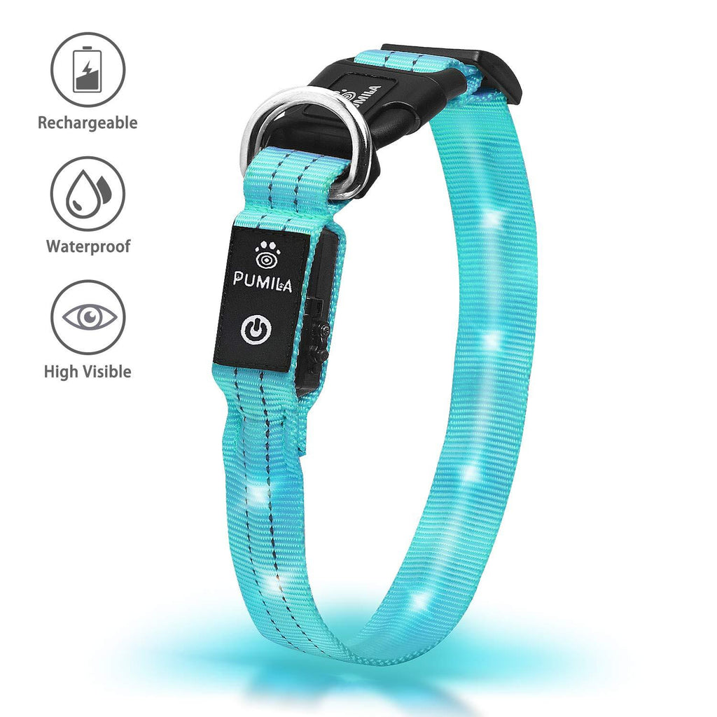 [Australia] - LED Dog Collar - Rechargeable Light Up Safety Pet Collar - Waterproof Flashing Light Up Dog Collar, Basic Dog Collars L(19-23.6"/48-60cm) Blue 