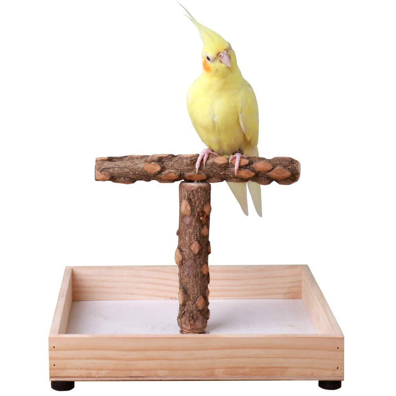 KINTOR Bird Stand Tabletop,Portable Tee Stand, Parrot Play Stand Perch Gym for Small Medium Parrot T Stand - PawsPlanet Australia