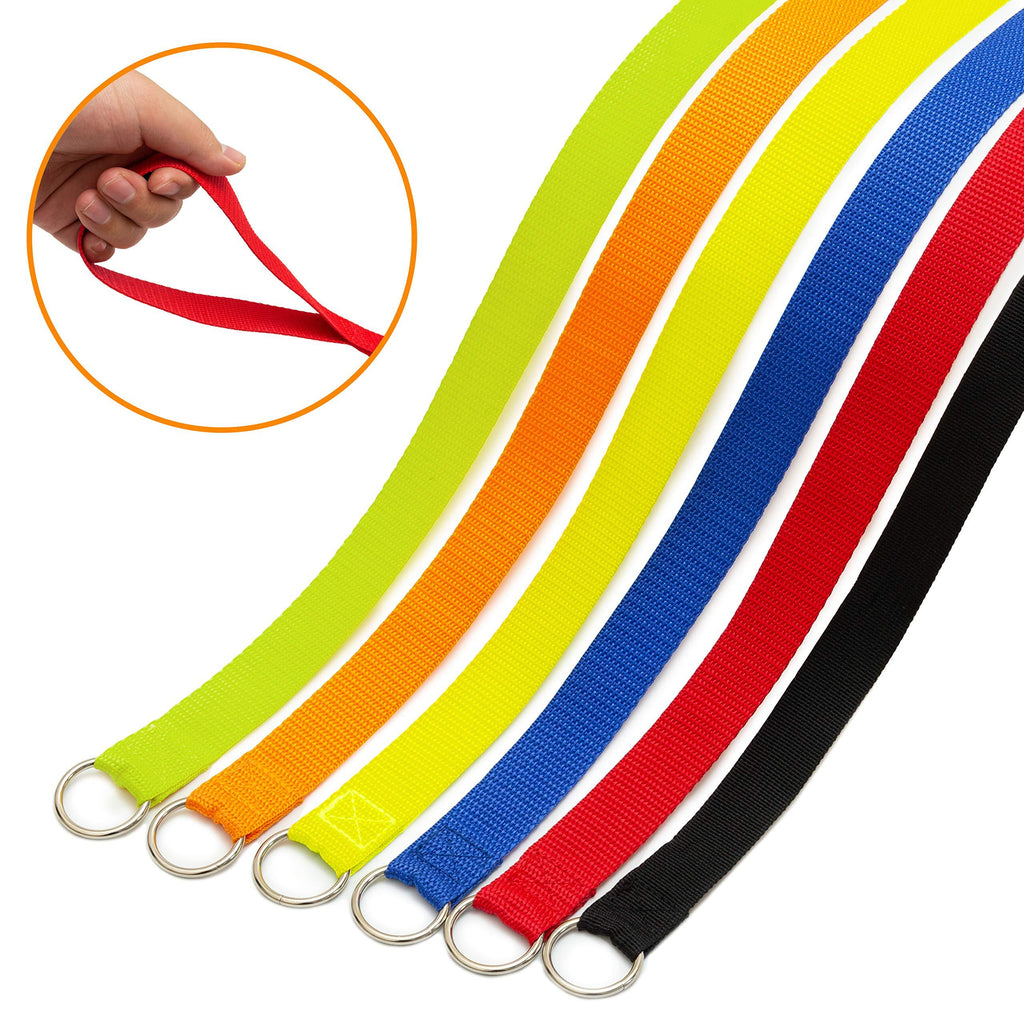 [Australia] - DCSUIT Slip Leads Dog Leash Pet Rope - 6 FT Strong Pulling Durable Leashes with O-Ring,6 Colors Soft Strap for Puppy/Doggie,Easy Control for Grooming/Shelter/Rescues/Walking/Training,etc. 