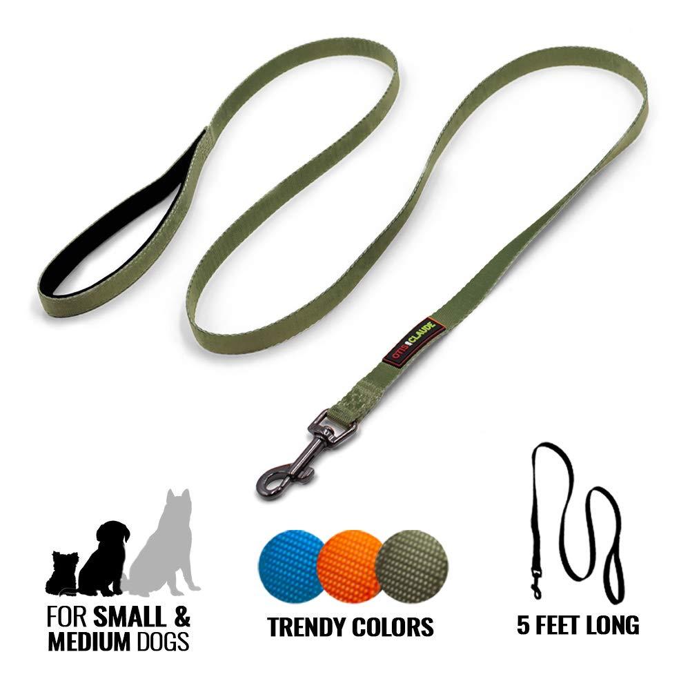 [Australia] - Otis & Claude Nylon Dog Leash - Durable, Padded Handle, Smooth Metal Swivel - Small, Medium, Large Terrarium Moss 