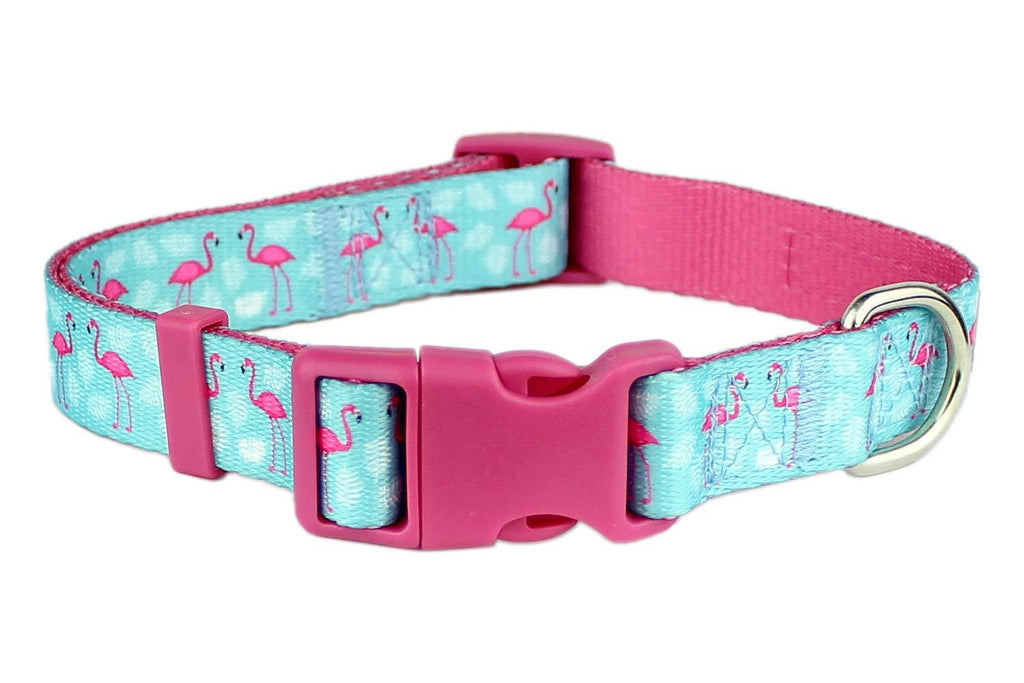 [Australia] - Parisian Pet Adjustable Nylon Dog Collar | Colorful Basic Collars and Matching Leash for Dog/Cat/Puppy | Beautiful Spring and Plaid Designs - Great Gift for Pets Medium Flamingos 