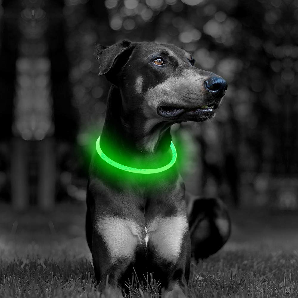 [Australia] - Clan-x USB Rechargeable LED Dog Collars Reflective Dog Collar, Light Up Dog Collars for Small Medium Large Dogs Green 