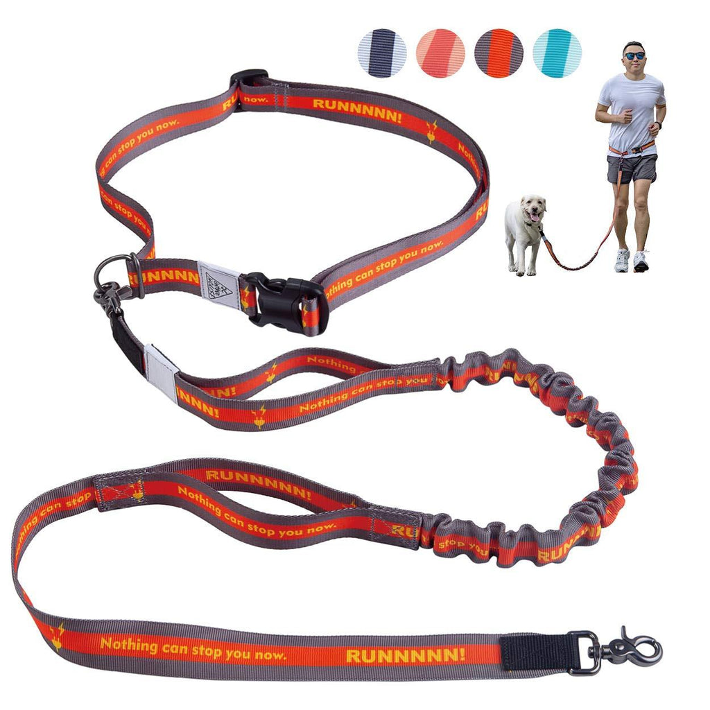 [Australia] - JC HOUSE Retractable Hands Free Dog Leash with Dual Handle, Adjustable Waist Belt Dog leashes for up to 150 lbs Large Dogs Orange 