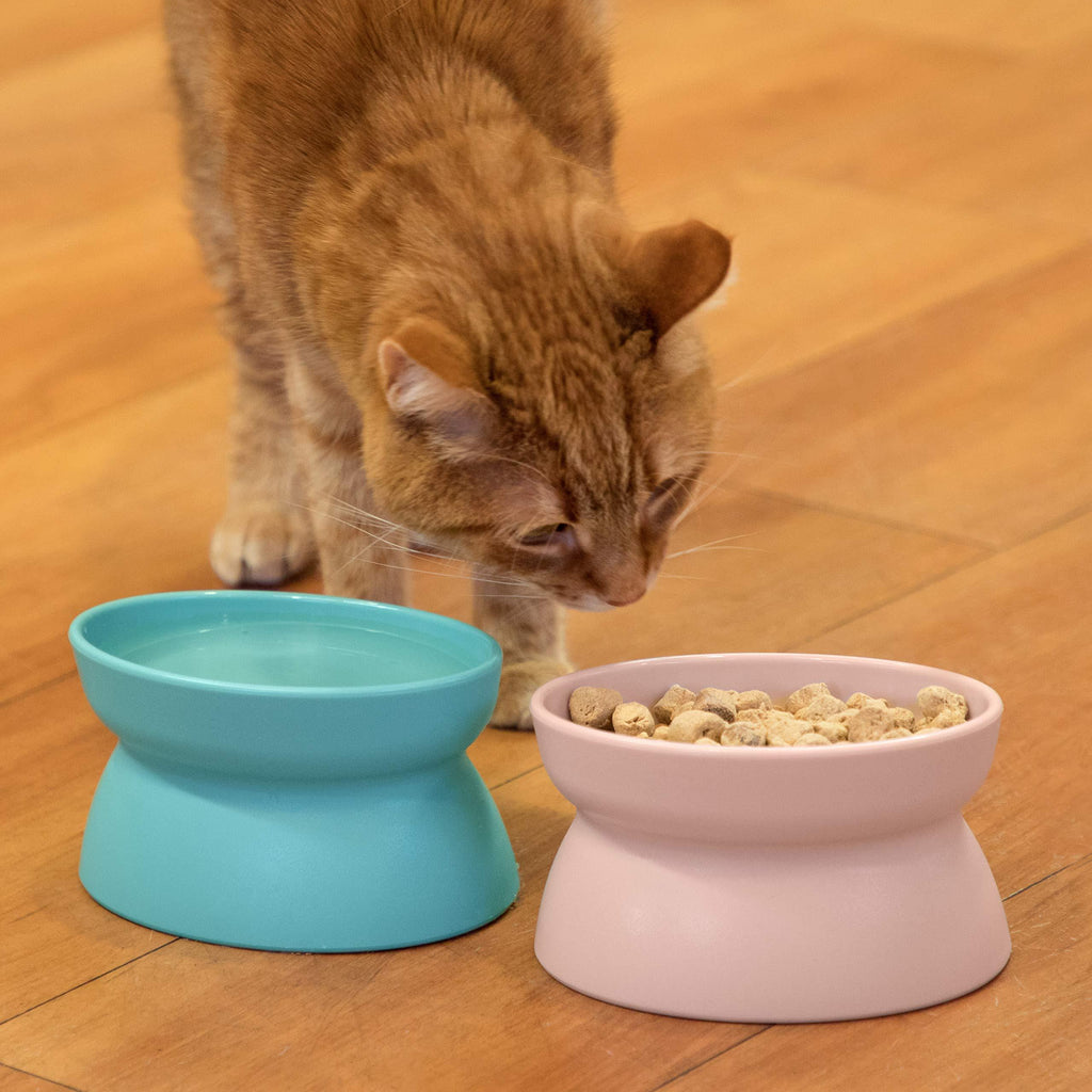 [Australia] - Kitty City Raised Cat Food Bowl Collection, Stress Free Pet Feeder and Waterer 2 Bowls/Pastel 