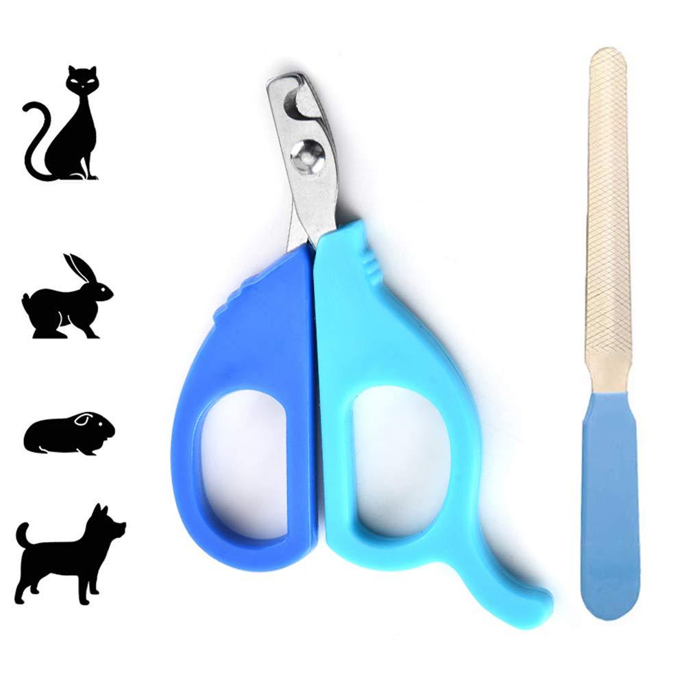 [Australia] - JHCome Professional Stainless Steel Nail Trimmer + Filer for Kittens and Puppy, Best Cat Nail Clippers & Dog Claw Trimmer for Professional Grooming Tool Kit (Blue). 