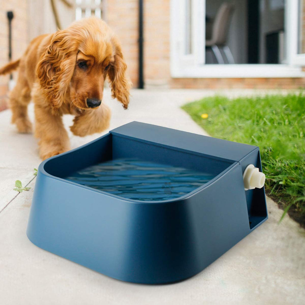 PETLESO Automatic Dog Waterer, Automatic Dog Water Bowl for Cats Dogs Birds Goats Outdoor Small Animals, Blue 2L - PawsPlanet Australia