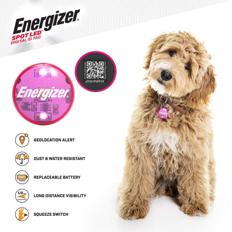 [Australia] - SPOT LED Energizer Digital Pet QR Recovery ID Tag, IP65 Water and Dust Resistant with Half Mile Visibility Pink 