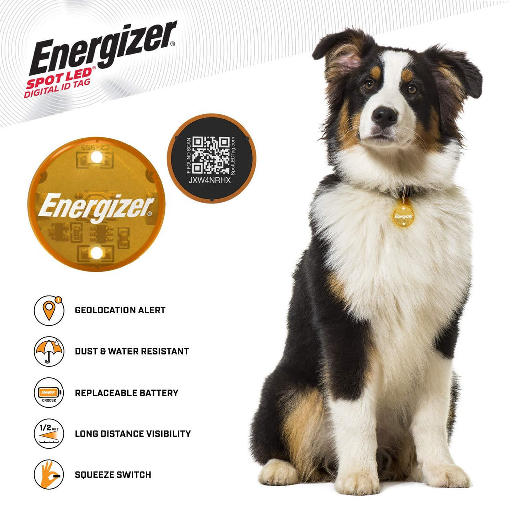 SPOT LED Energizer Digital Pet QR Recovery ID Tag, IP65 Water and Dust Resistant with Half Mile Visibility Orange - PawsPlanet Australia