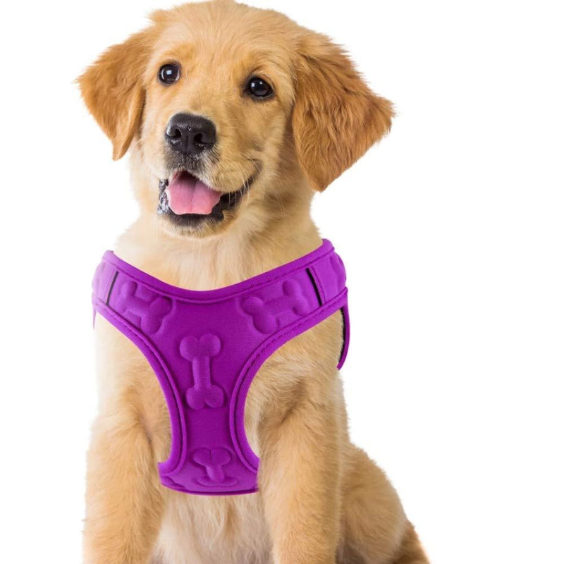 Comfort Fit, Soft Padded and Lightweight Dog Harness, Step in Dog Vest Harness for Small & Medium Dogs, Purple, M, Chest 16-18" - PawsPlanet Australia