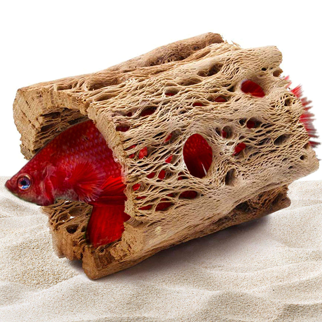 SunGrow Sunken Cholla Betta Cave, Loved by Bettas Because It Feels Like Home, Adds Texture and Interest to Your Aquascape,1-Piece per Pack - PawsPlanet Australia