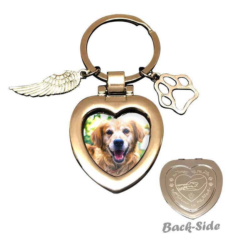 [Australia] - JOEZITON Pet Memorial Gifts Passed Away Personalized Family Picture Frame or Keychain Jewelry Angel with Paws for Loss of Dogs or Cats. Forever In My Heart 