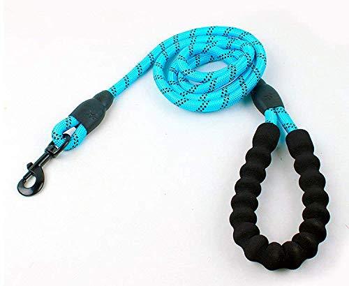 [Australia] - Blue Trasen Pet Strong Dog Leash 5ft Long with Comfortable Padded Handle, Reflective Stripes Heavy Duty Training Durable Nylon Rope Leashes for Small Medium Large 