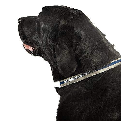 [Australia] - Promagnet Magnetic Therapy Pet Collar (Extra Small 8" - 11") 4 Neodymium Magnets X-Small 