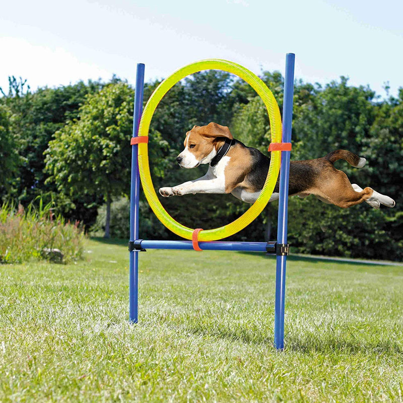 Dogs Outdoor Games Agility Exercise Training Equipment Agility Starter Kit Jump Hoop Hurdle Bar Jumping Ring - PawsPlanet Australia