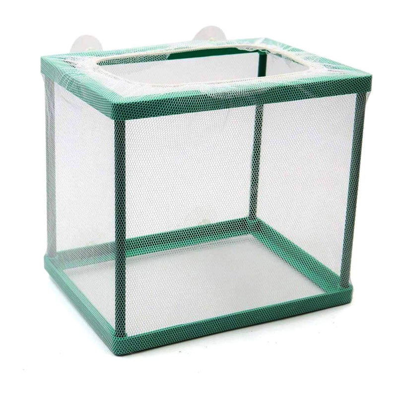 Aquarium Fish Breeder Box, Fish Isolation Box, Hatching Box, Juvenile Fish Spawning Incubator, Water Isolation Net Hatchery Green - PawsPlanet Australia