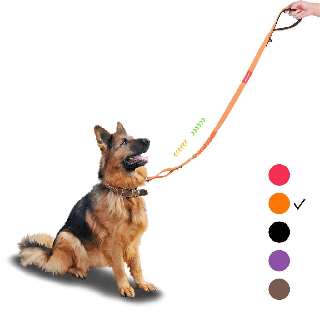 [Australia] - gulilulu Dog Training Leash with 2 Handles, Dog Walking Leash, 4-5 FT Bungee Cord Dog Leash for Small Medium Large Dogs Orange 