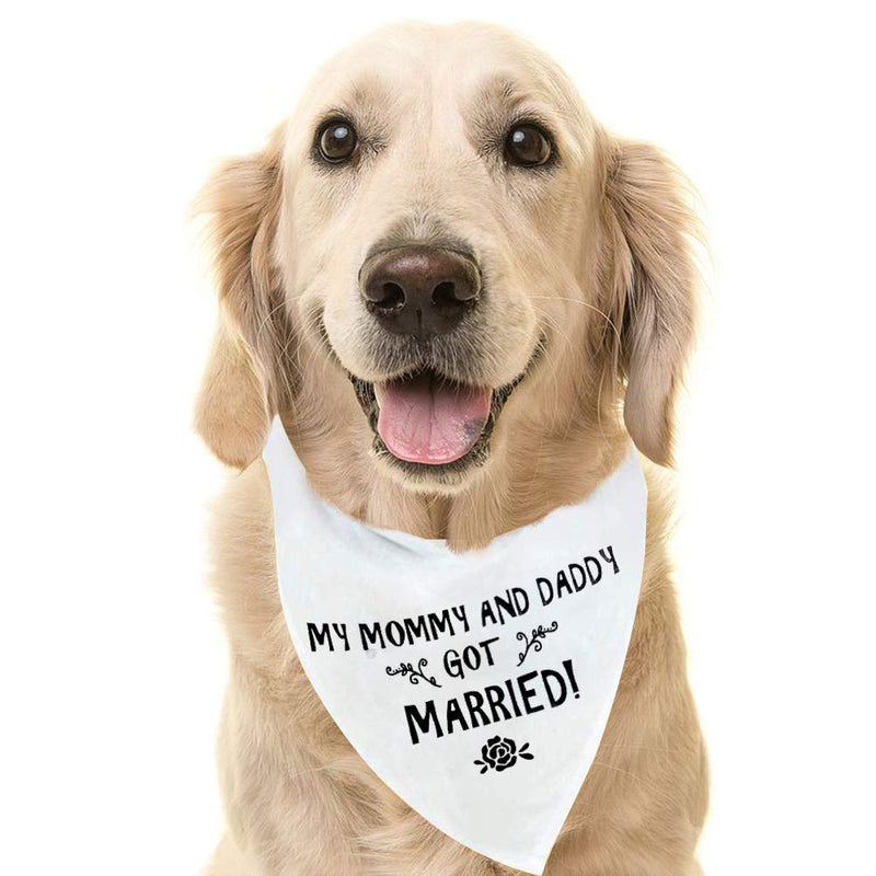 [Australia] - PUPTECK Wedding Dog Bandana - My Mommy and Daddy Got Married - Engagement Announcement - Soft Wedding Bibs Scarf Accessories and Photo Prop for Small to Large Dogs, White 