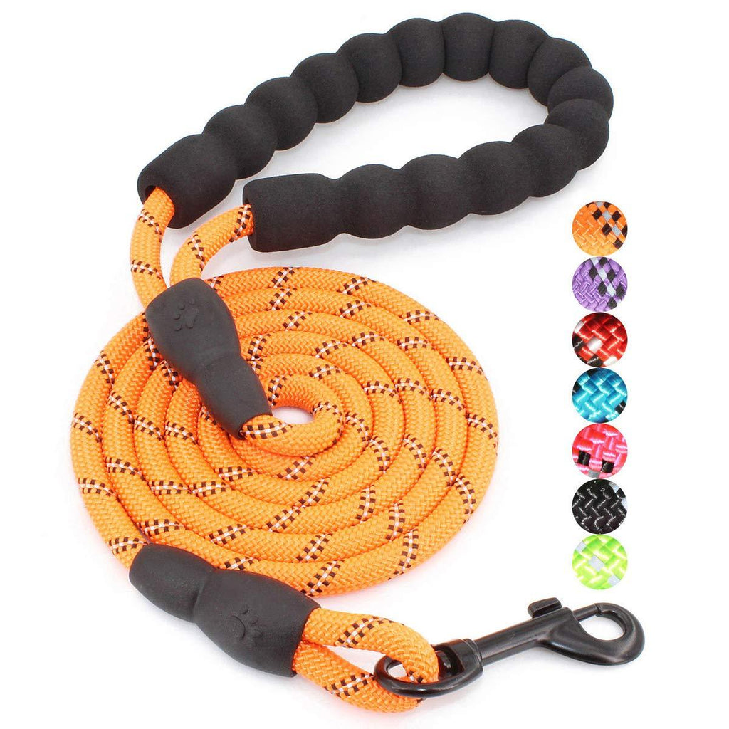 [Australia] - BAAPET 5 FT Strong Dog Leash with Comfortable Padded Handle and Highly Reflective Threads for Small Medium and Large Dogs 1/3'' x 5 FT (0~18 lbs.) Orange 
