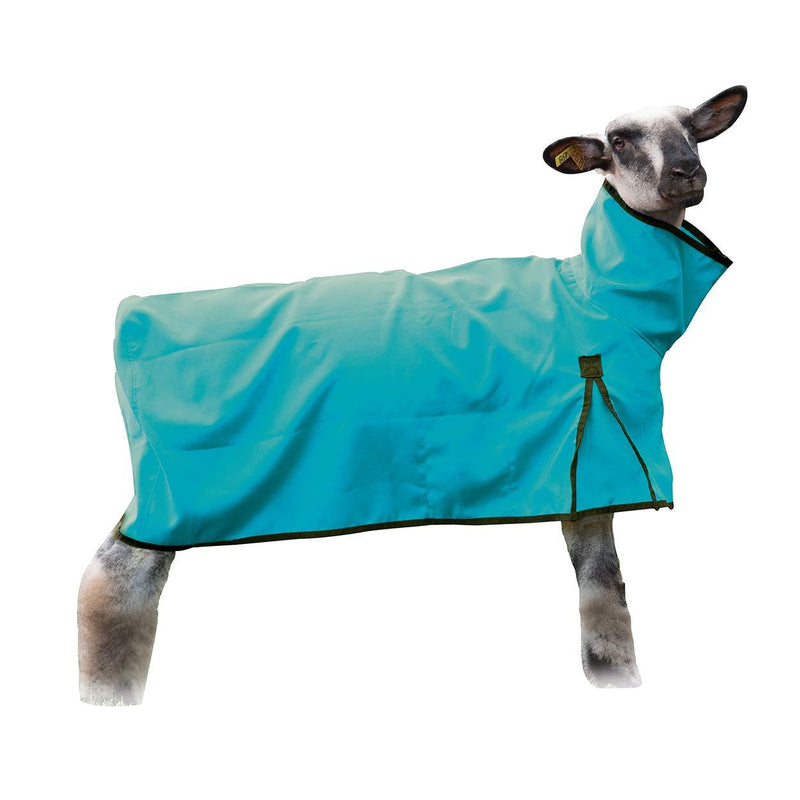 [Australia] - Weaver Leather Sheep Blanket, Solid Butt, Extra-Large, Teal 