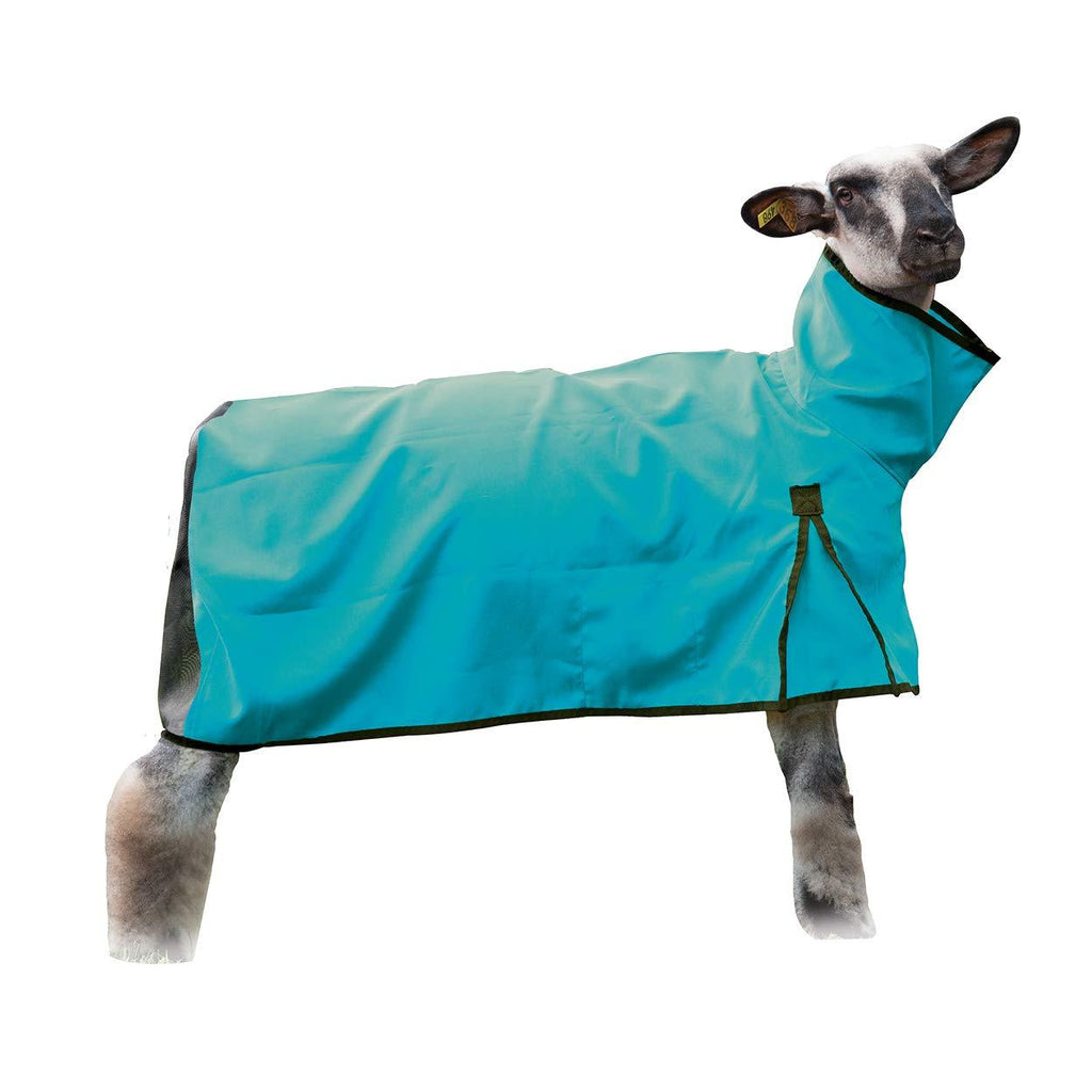 [Australia] - Weaver Leather Sheep Blanket, Solid Butt, Extra Small, Teal 