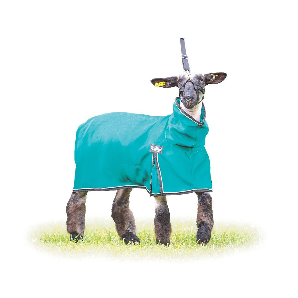 [Australia] - Weaver Leather ProCool Sheep Blanket, Medium, Teal 