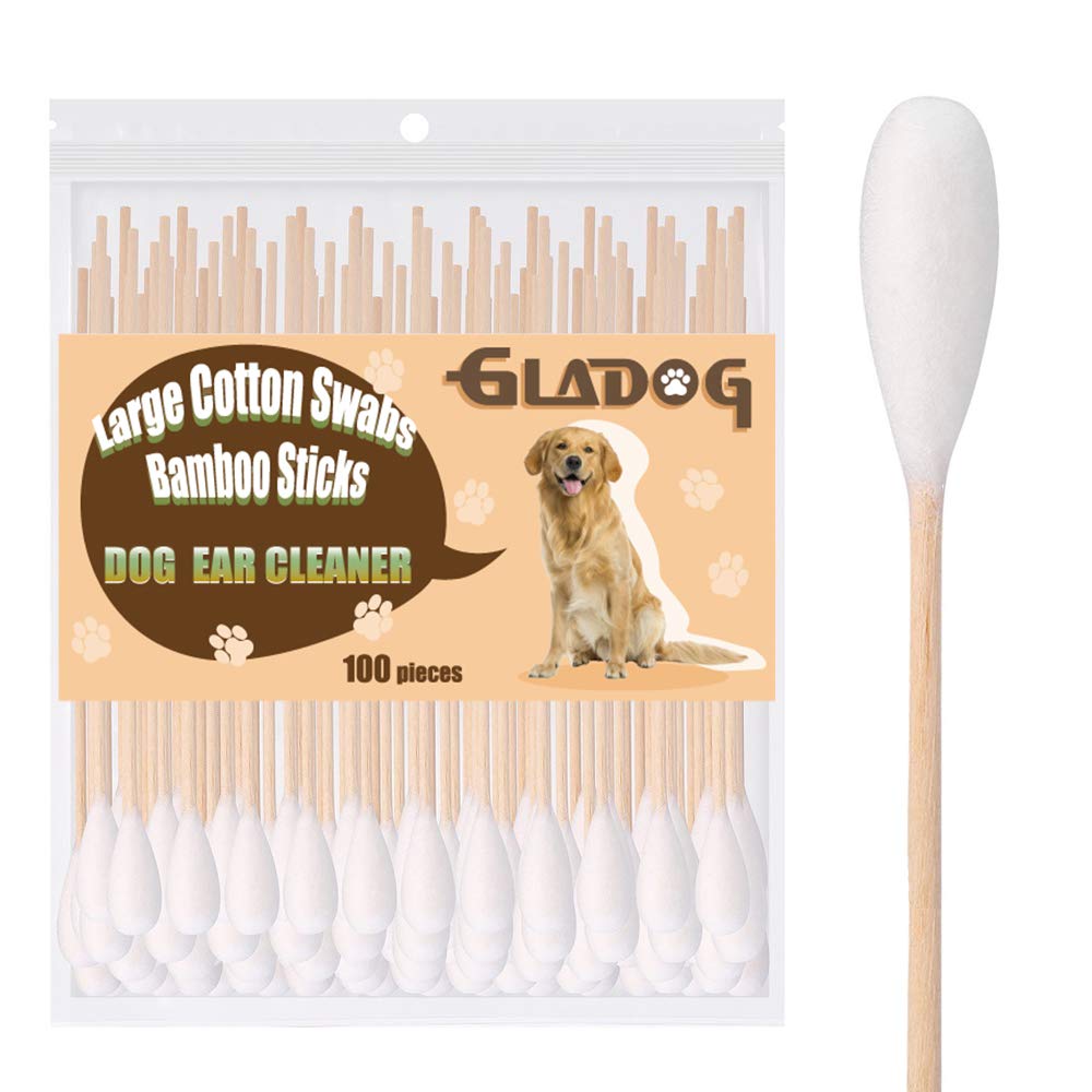 GLADOG 6 Inch Professional Large Cotton Buds for Dogs, Specially Designed Dog Cotton Buds with Wood Handle, Large Means Safe Medium - PawsPlanet Australia