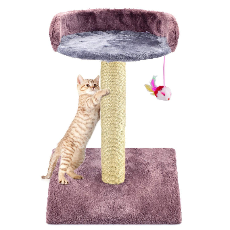 [Australia] - Zubita Small Cat Tree, Cat Tower Scratching Posts with Hanging Toys for Kittens Activity Centre Plush Carpet and Sisal Scratcher Post Medium 