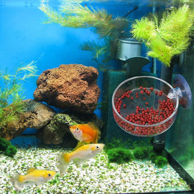 [Australia] - WEAVERBIRD Aquarium Shrimp Feeder Dish with Suction Glass Fish Tank Feeding Bowls Round Clear Dishes Tray 60MM 