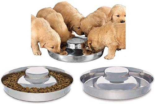 [Australia] - King International Stainless Steel Dog Bowl 3 Puppy Litter Food Feeding Weaning|SilverStainless Dog Bowl Dish| Set of 3 Pieces | 29 cm - for Small/Medium/Large Dogs, Pets Feeder Bowl and Water Bowl 