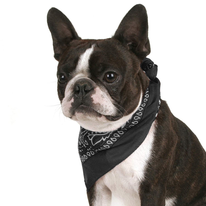 Pack of 4 Paisley Cotton Dog Bandana Triangle Shape - One Size Fits Most Black - PawsPlanet Australia