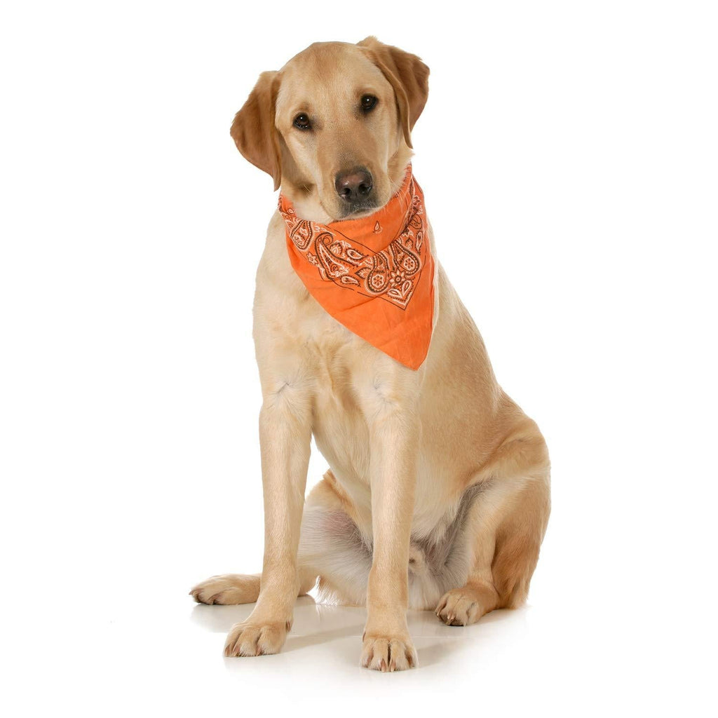 [Australia] - 3-Pack Paisley Cotton Dog Scarf Triangle Bibs - XL and Washable Orange 