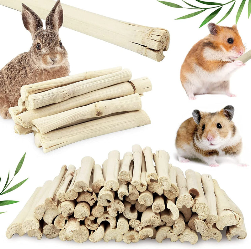 Heatoe 1 Ib Pet Molar Sweet Bamboo Snacks, Pet Chewing Toys Molar Sticks for Rabbits & Chinchillas & Guinea Pigs & Chinchillas & Hamsters & Squirrels and Other Small Animals. - PawsPlanet Australia