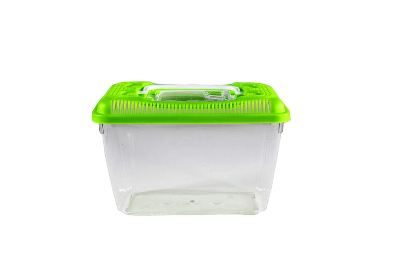 Penn-Plax Small World Habitat – Portable Clear & Transparent Plastic Tank – Excellent for Small Critters & Creatures – Easy to Clean & Handle – Great for Indoors & Outdoors 0.6 Gallon - PawsPlanet Australia
