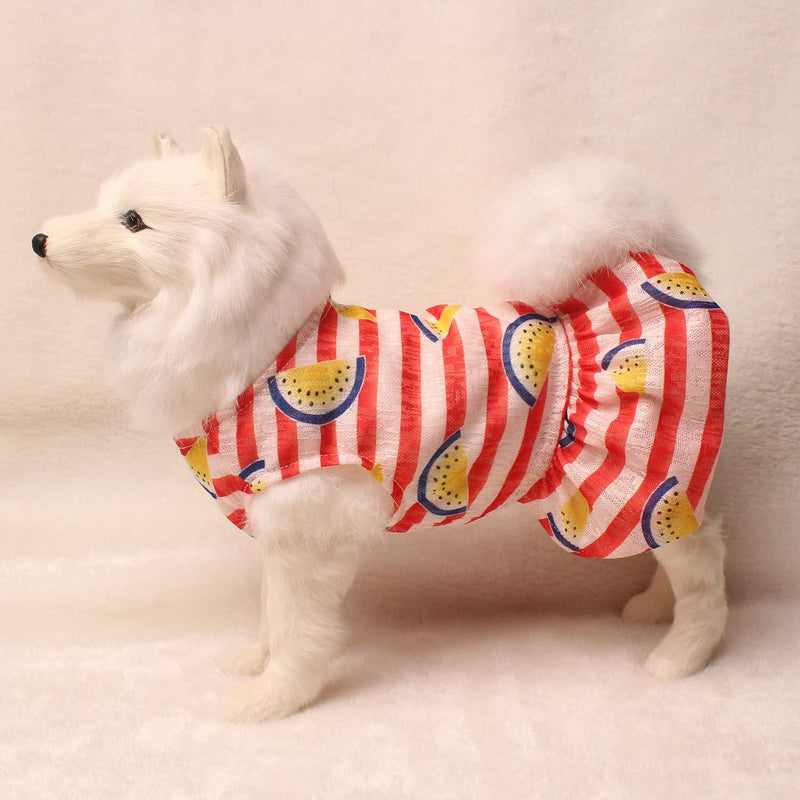 [Australia] - TONY HOBY Cool and Colorful Watermelon Pet Clothes Dog Dress Cat Sundress for Dog Apparel Summer Sweet Orange Red L Orange & Red 