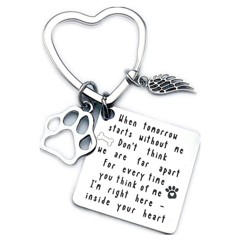 OYEFLY Pet Memorial Keychain Jewelry to Commemorate Pets Dogs and Cats Pet Key Ring with AngelWings Paw Imprint Loss of Pet Keychain Personalized Gift Dog Cat - PawsPlanet Australia