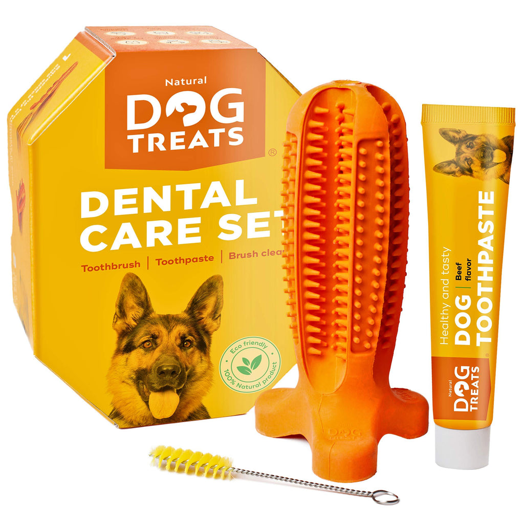Natural Dog Treats Toothbrush Stick and Toothpaste Beef Flavor Dental Care Cleaning Set, 100% Natural Rubber Chew Toy for Dogs Set for Large Sized Dog Breeds - PawsPlanet Australia