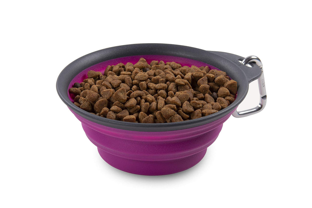 [Australia] - Dexas Pets Collapsible Travel Cup 2 Cup Capacity Fuchsia 