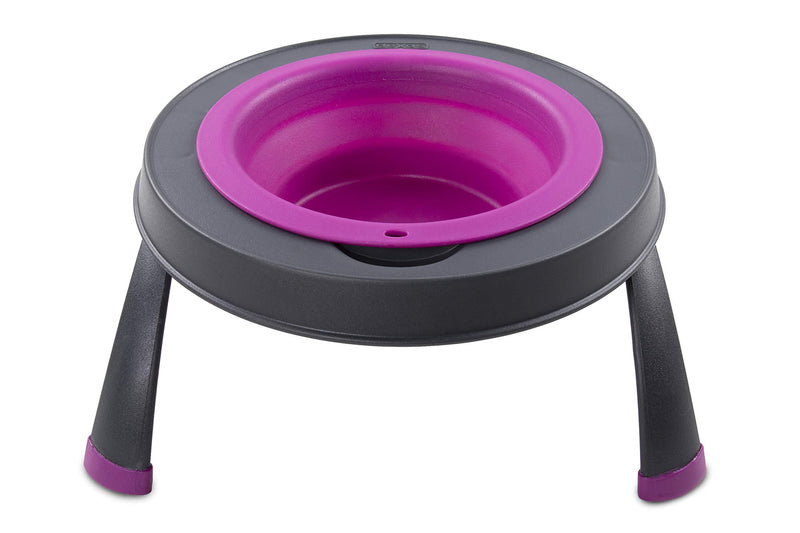 Dexas Popware for Pets Single Elevated Pet Feeder Small/1.5 Cup Capacity Fuchsia - PawsPlanet Australia