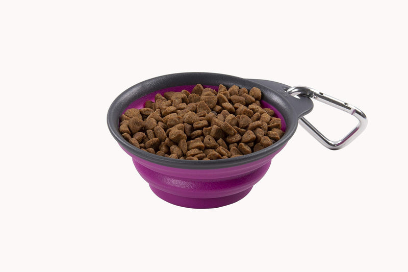 [Australia] - Dexas Pets Collapsible Travel Cup 1 Cup Capacity Fuschia 