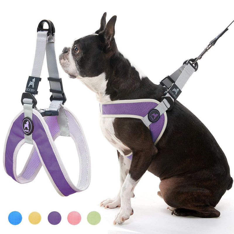 [Australia] - Gooby Dog Harness - Simple Step-in Harness III Small Dog Harness Scratch Resistant - Perfect on The Go Breathable Inner Mesh Harness for Small Dogs or Cat Harness for Indoor and Outdoor Use Purple 