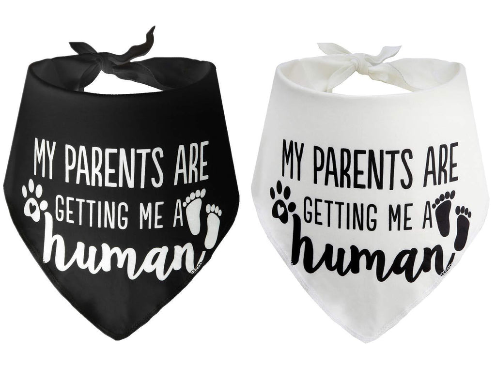 My Parents are Getting me a Human,2 Pack Gender Reveal Dog Bandana Small - PawsPlanet Australia