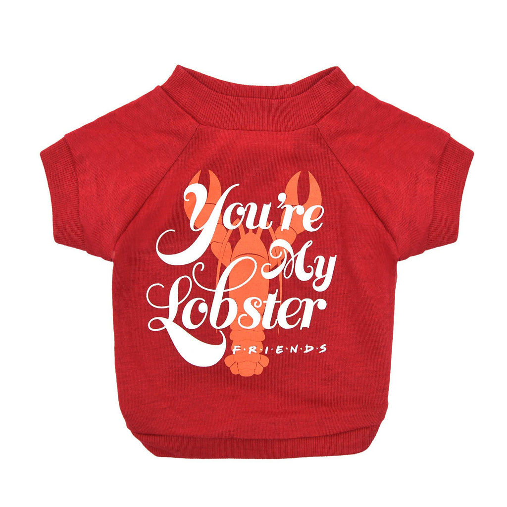 [Australia] - Warner Bros Friends TV Show "You're My Lobster" Dog T Shirt in Red | Soft and Comfortable Dog Shirt, Available in Multiple Sizes | Machine Washable Pull-Over Dog Tshirt Large 