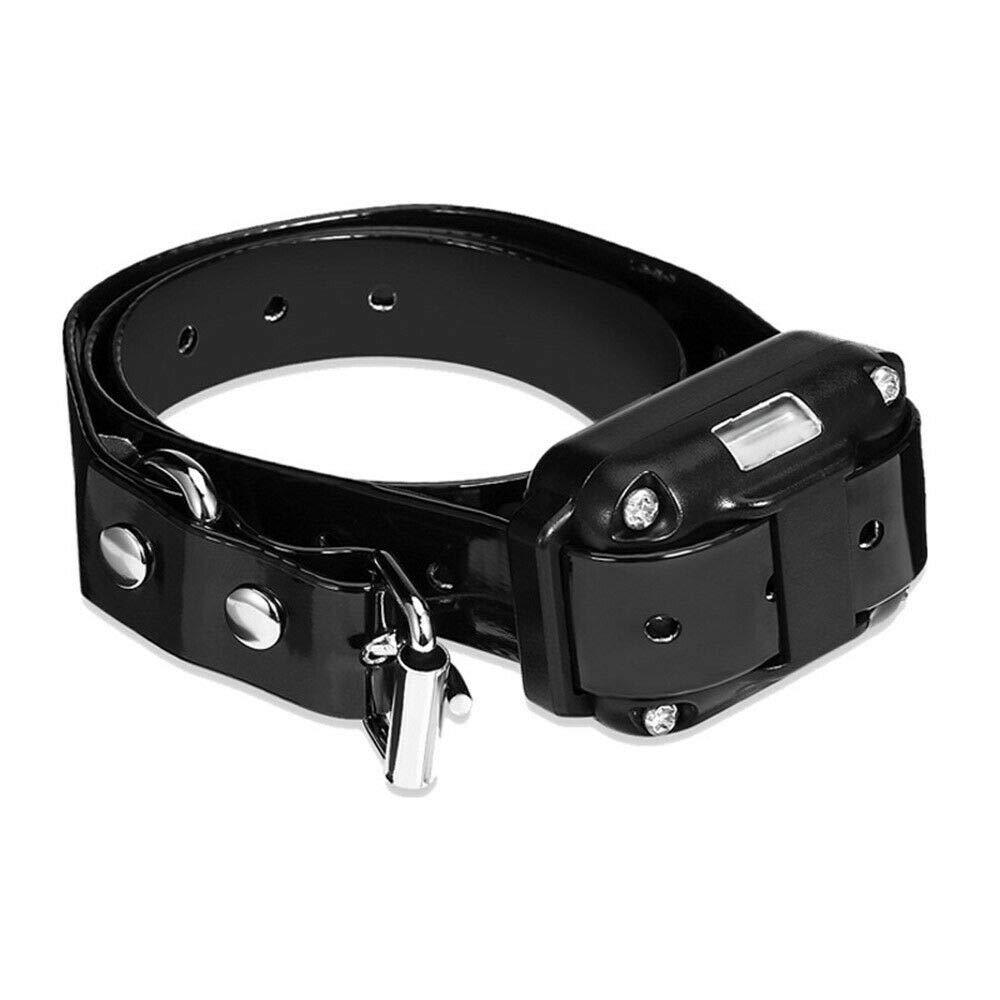 [Australia] - IQVenture Replacement Receiver for Dog Training Collar, Extra Receiver for Dog Training Collar, Waterproof 