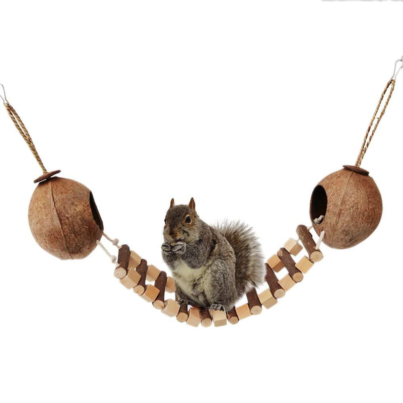 [Australia] - Coconut Bird Nest with Ladder for Parrots Parakeet Conures Lovebird Cockatiel Finch Canary, Small Animals Hideaway Hut, Coconut Shell Bird Cage Toy, Natural Coconut Squirrel House Hanging Loop Brown 